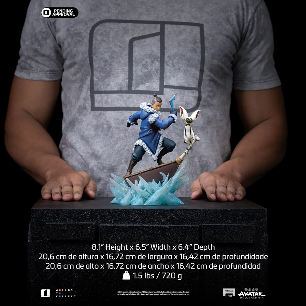 Pre-Order - Statue Sokka - Avatar: The Last Airbender - Art Scale 1/10 - Iron Studios - Image 15